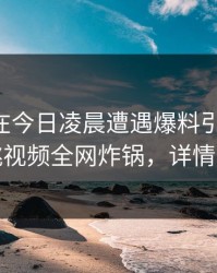 当事人在今日凌晨遭遇爆料引发联想,樱桃视频全网炸锅,详情查看