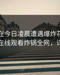 圈内人在今日凌晨遭遇爆炸花絮，蘑菇影视在线观看炸锅全网，详情揭秘