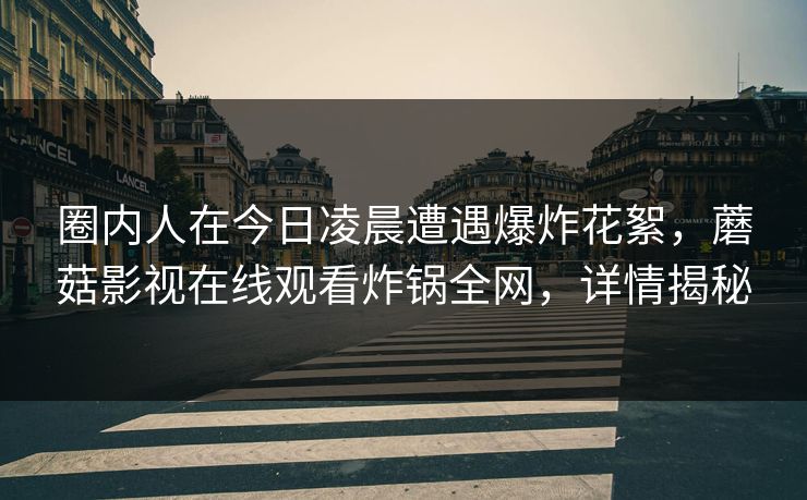 圈内人在今日凌晨遭遇爆炸花絮,蘑菇影视在线观看炸锅全网,详情揭秘 圈内人在今日凌晨遭遇爆炸花絮,蘑菇影视在线观看炸锅全网,详情揭秘