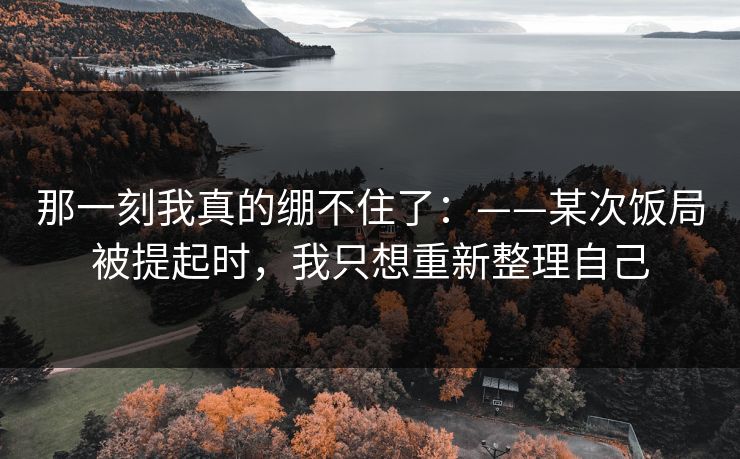 那一刻我真的绷不住了：——某次饭局被提起时，我只想重新整理自己