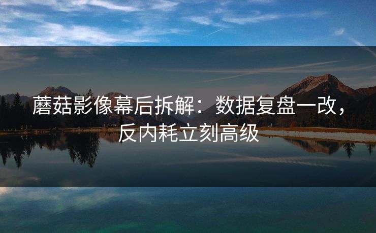 蘑菇影像幕后拆解：数据复盘一改，反内耗立刻高级